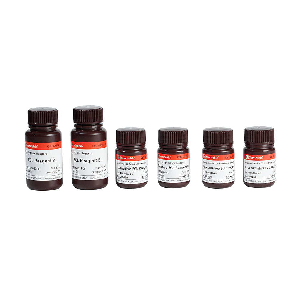 Chemiluminescence Reagent Kit ECL