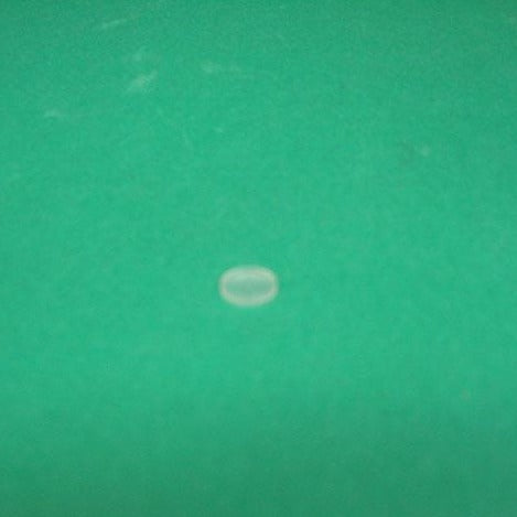 Lid for micro-micro solid sampler - E730616-210